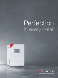 La perfection dans chaque détail