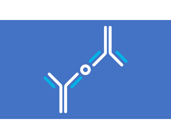 Kits ELISA Kits ELISA