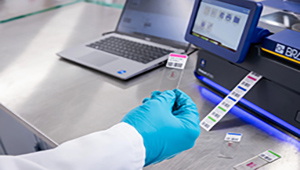 Identification de l'échantillon