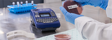 Imprimantes d'étiquettes portables