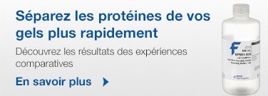 Separate Protein Gels Faster
