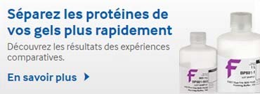 Separate Protein Gels Faster