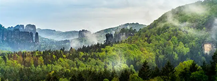 Solutions Greener Choice