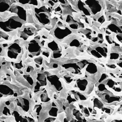 Merck Durapore Membrane Filters Merck Durapore Membrane Filters