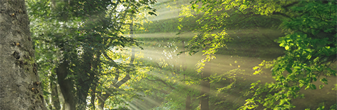 Comprendre le développement durable et le rôle que les fabricants de gants devraient jouer