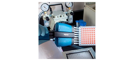 15308_tab_1_image_3_new 15308_tab_1_image_3_new