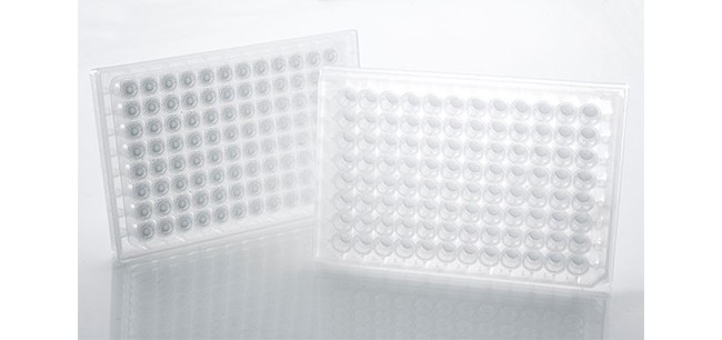 15308_image_tab_protein__new 15308_image_tab_protein__new