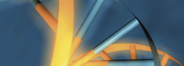 Produits chimiques pour la synthèse des acides nucléiques Produits chimiques pour la synthèse des acides nucléiques