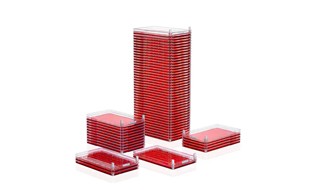 22242_imgs_2 22242_imgs_2