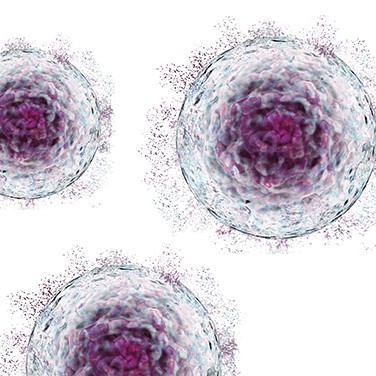 Mise à l'échelle de la thérapie cellulaire