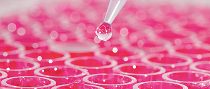 Production à grande échelle de vecteurs lentiviraux par transfection transitoire