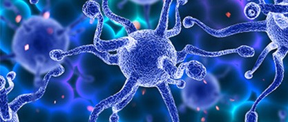 The Fight Against Antimicrobial Resistance: An Urgent Global Challenge