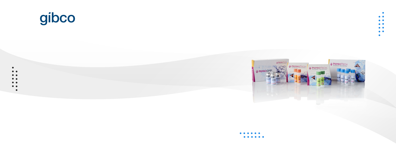 Bannière du produit