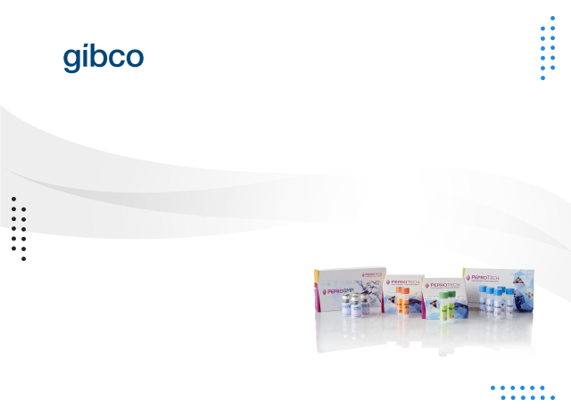 Bannière du produit