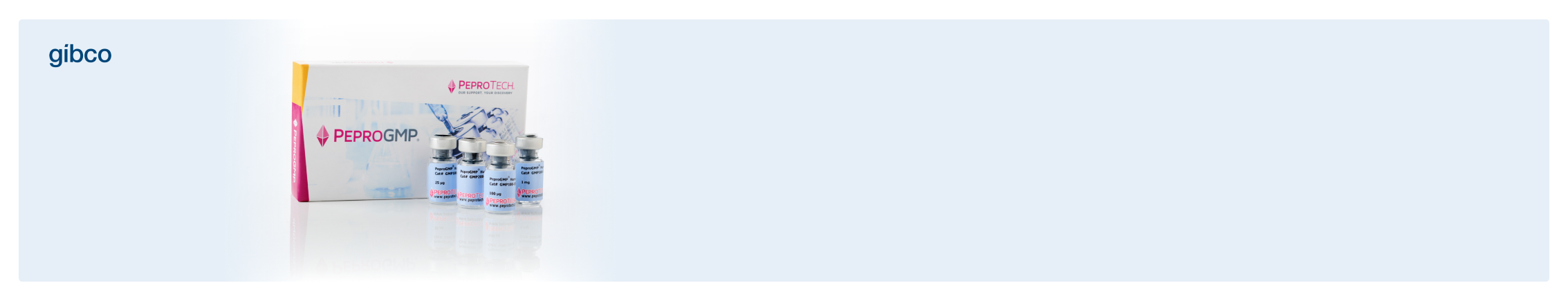 Bannière du produit