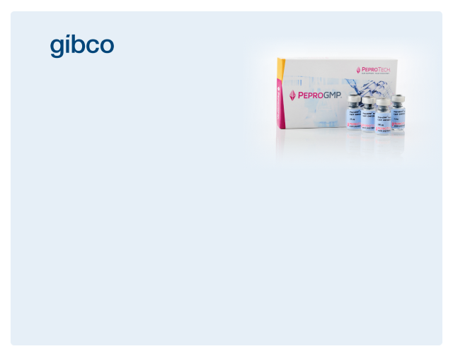 Bannière du produit