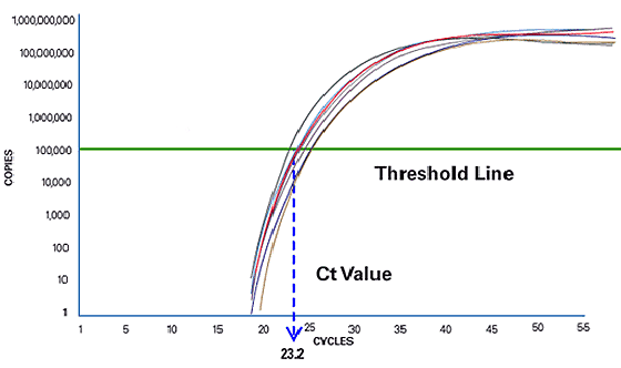 Cycle PCR
