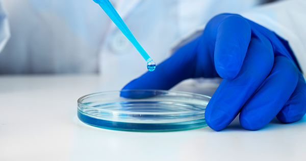 Comptage rapide et précis des colonies