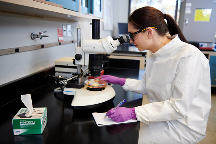 Gants en nitrile Kimtech™ Polaris™